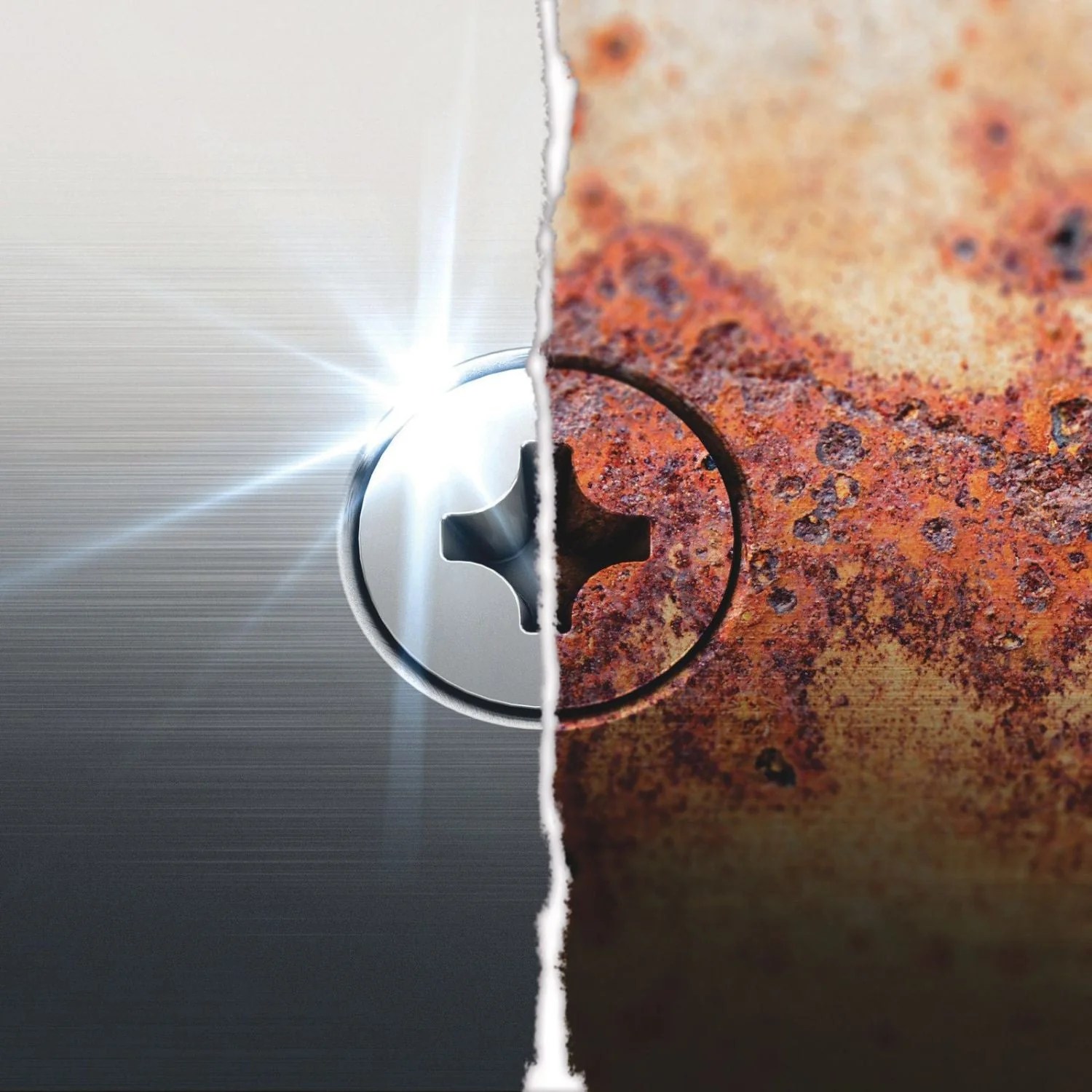 05071102001-WERA-40368580_3.jpg