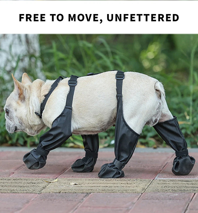 adjustable-dog-boots-41190911_3.jpg