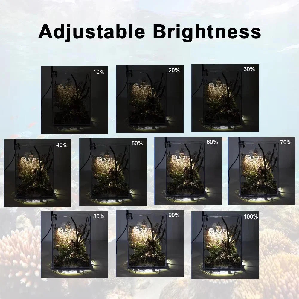 led-light-for-fish-tank-41192399_6.jpg